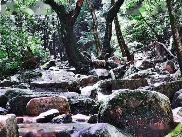 最终幻想15